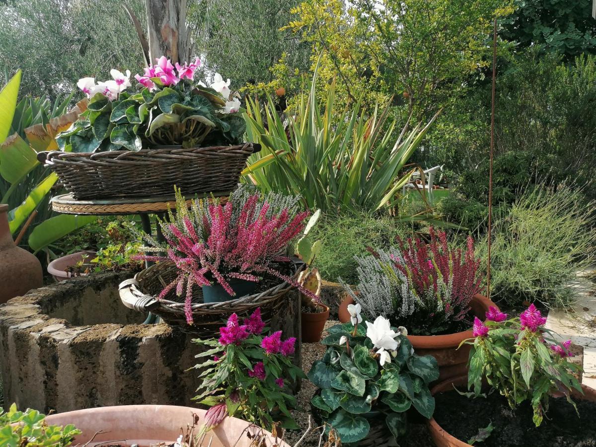 Il Giardino Del Te Hotel Barletta Exterior foto
