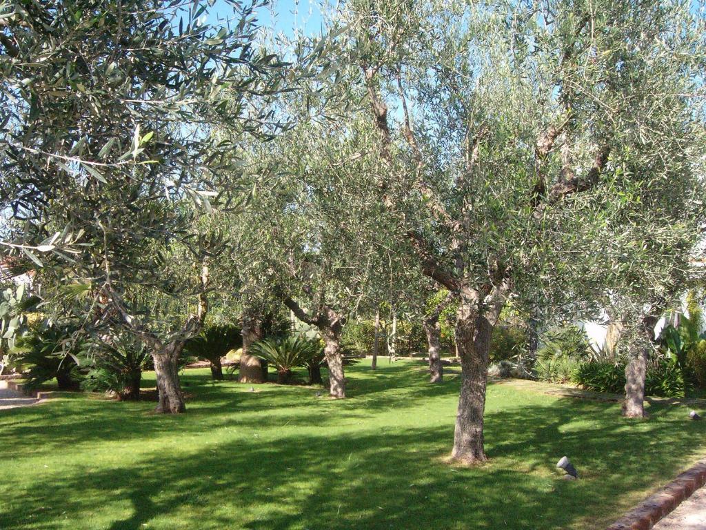Il Giardino Del Te Hotel Barletta Exterior foto