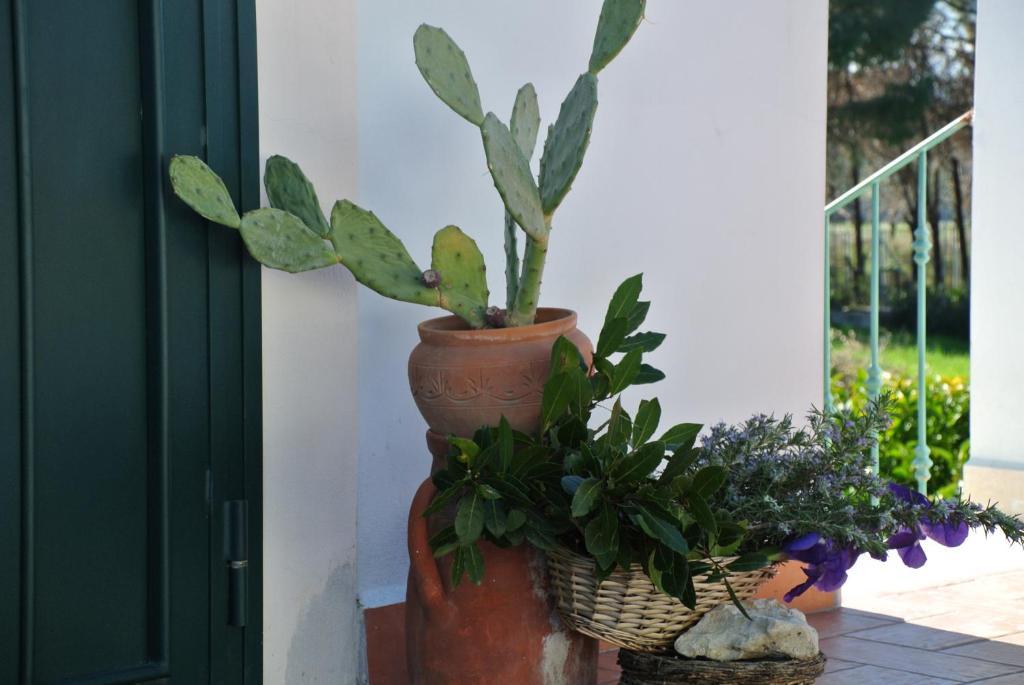 Il Giardino Del Te Hotel Barletta Quarto foto