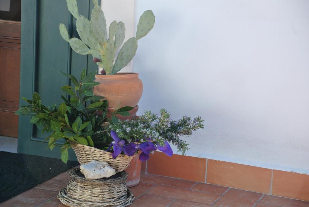 Il Giardino Del Te Hotel Barletta Exterior foto